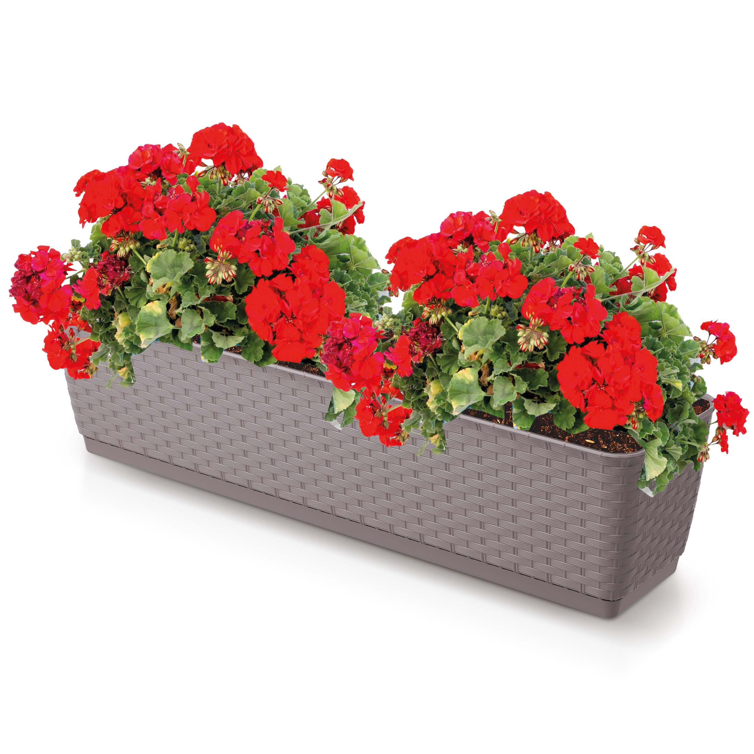 Balkonkasten - Blumenkasten aus Kunststoff - Ratolla P