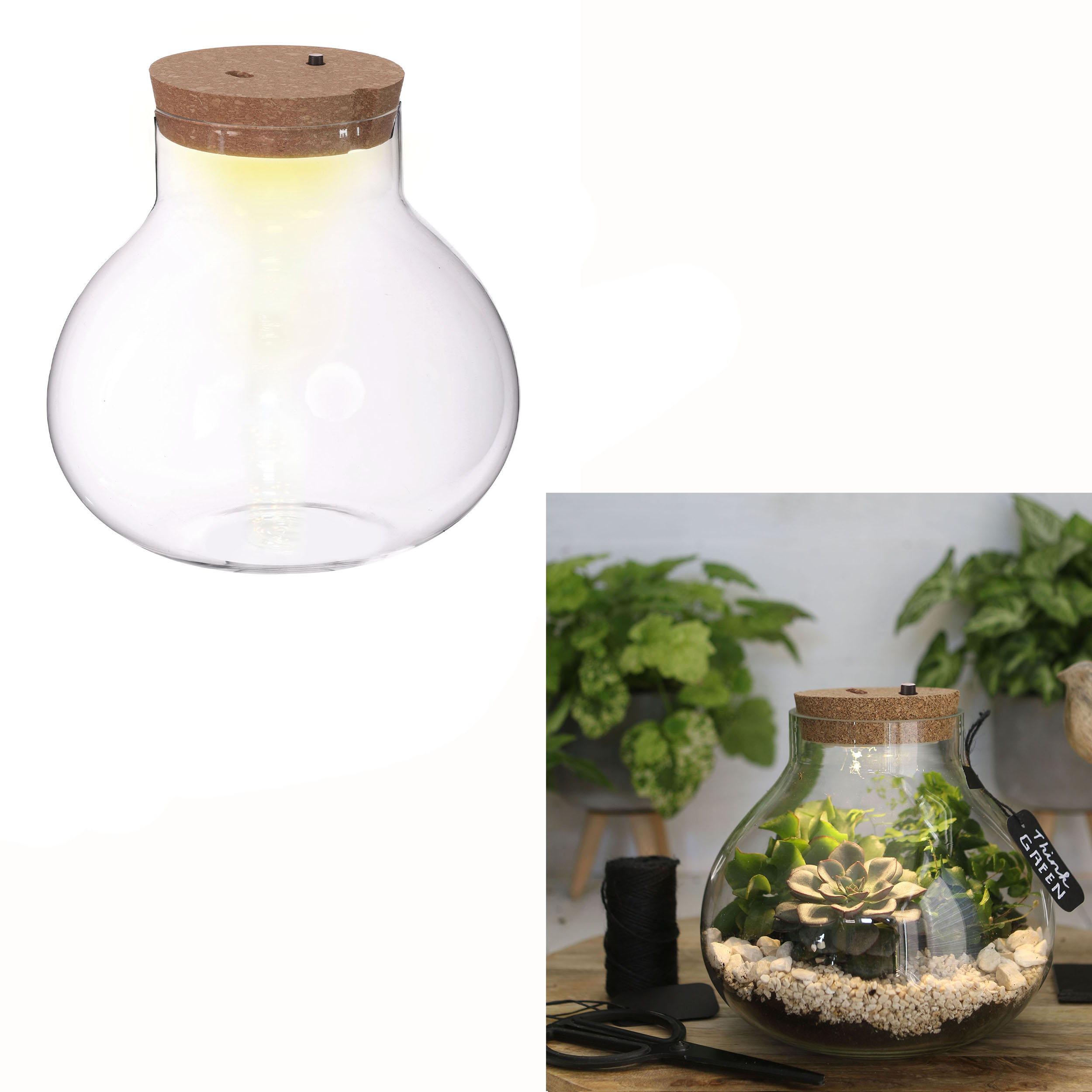 Pflanz-Terrarium mit Korken und LED-Beleuchtung
