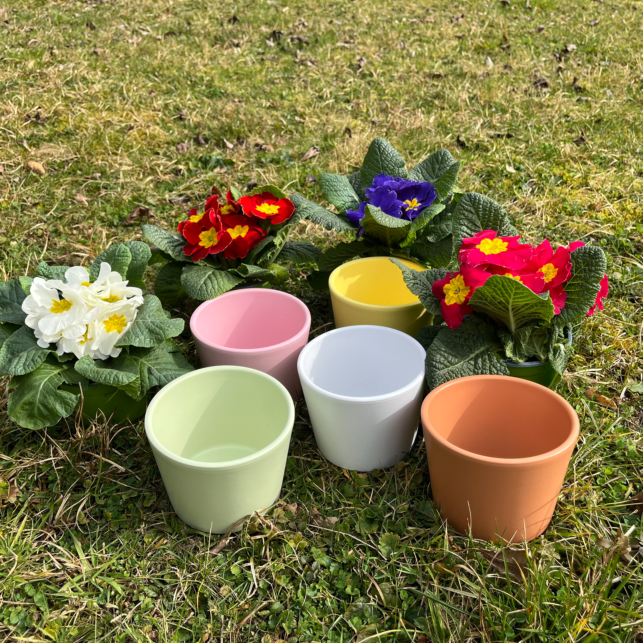 Blumenübertopf für Primeln H 9,3 cm - 12 cm