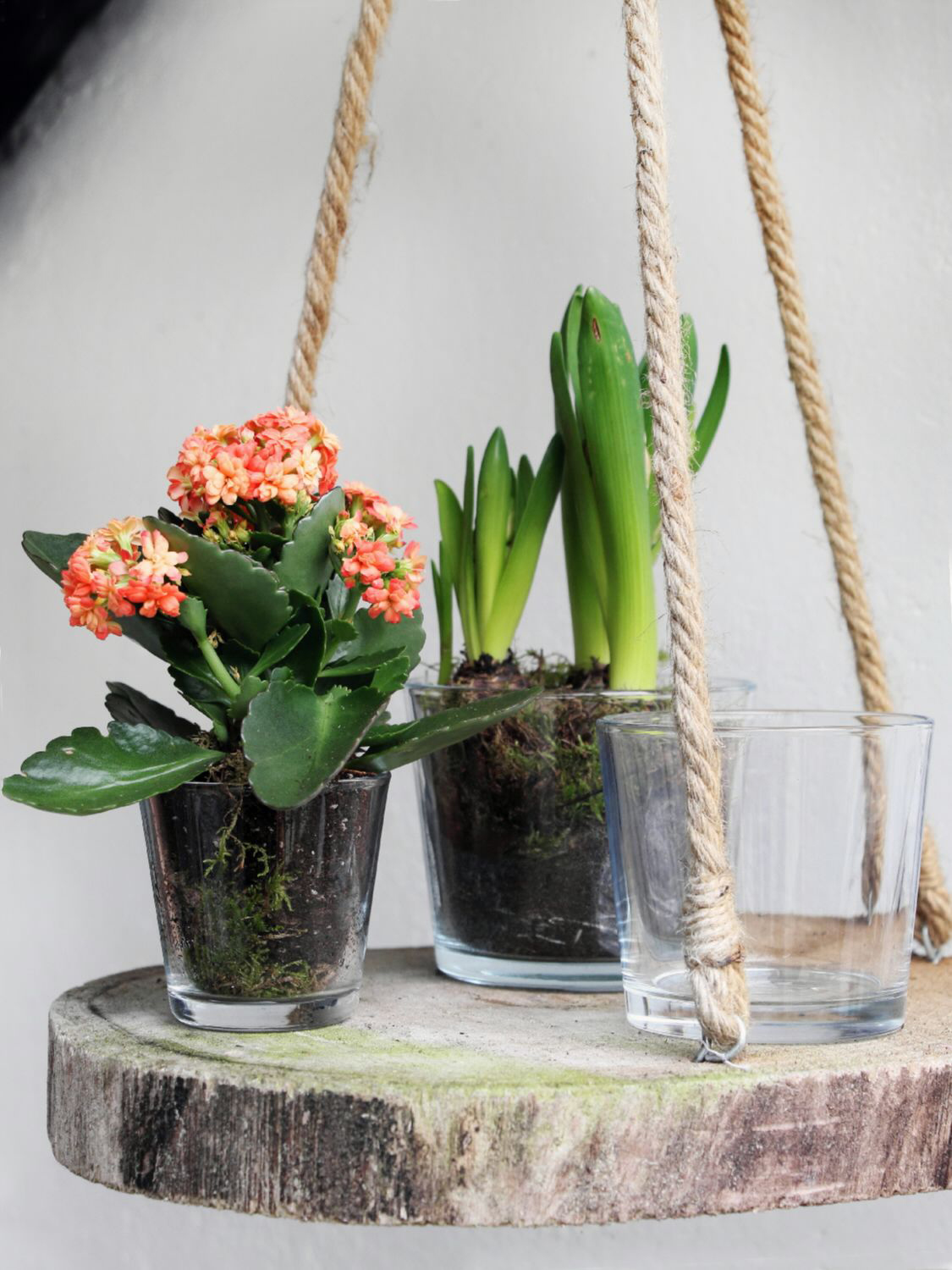 6 x Windlichter Lilly aus Glas, konisch Ø 10 cm H 9 cm