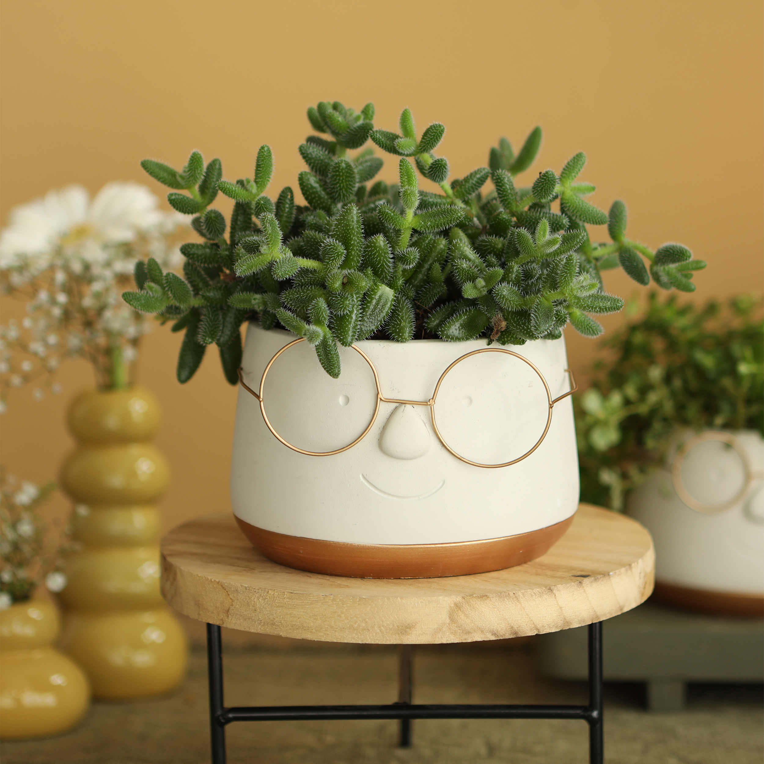 Blumenübertöpfe "Frieda" aus Keramik mit Brille mit Goldrand