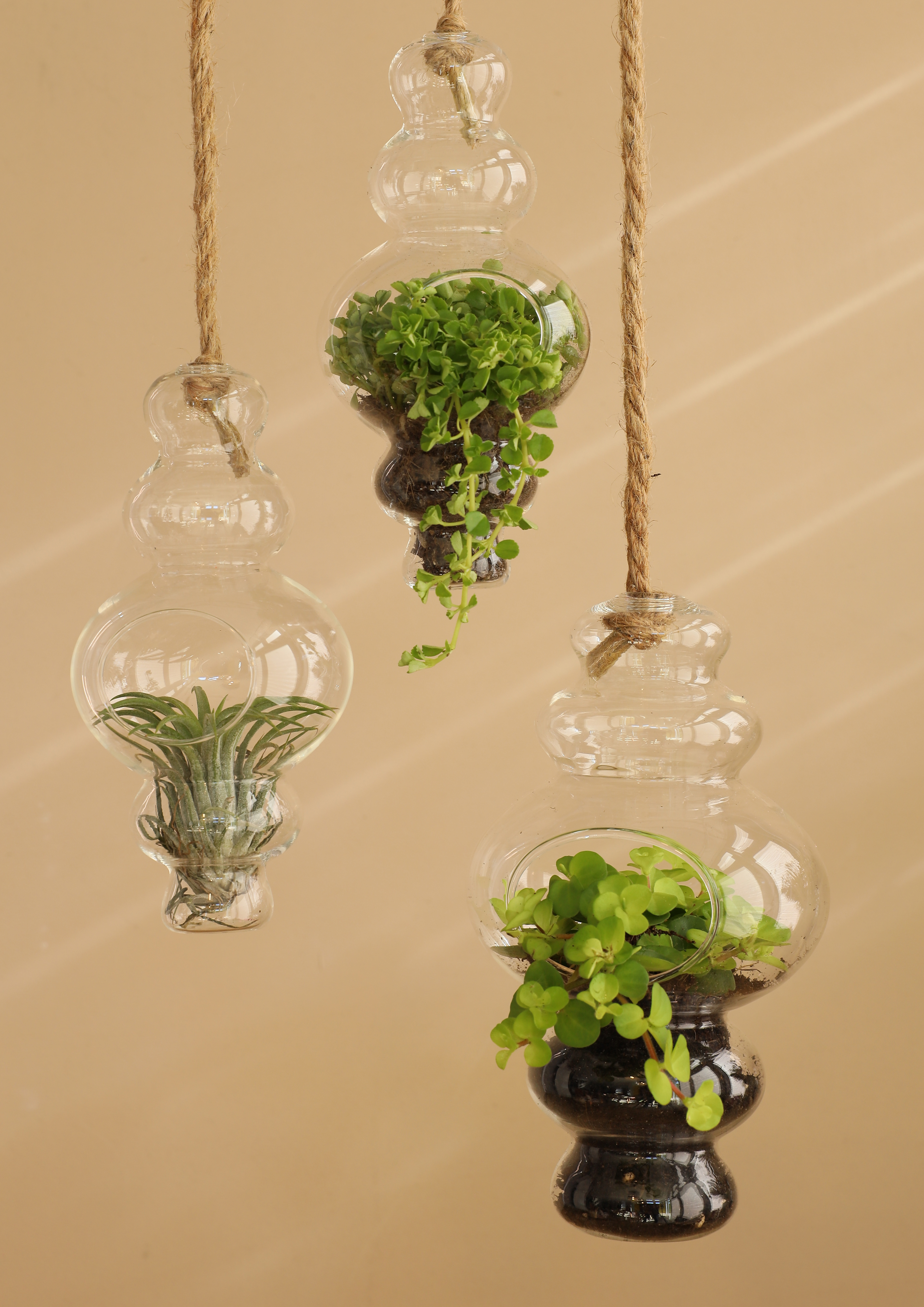 Vase - Terrarium "Alisa" mit Seil zum Hängen