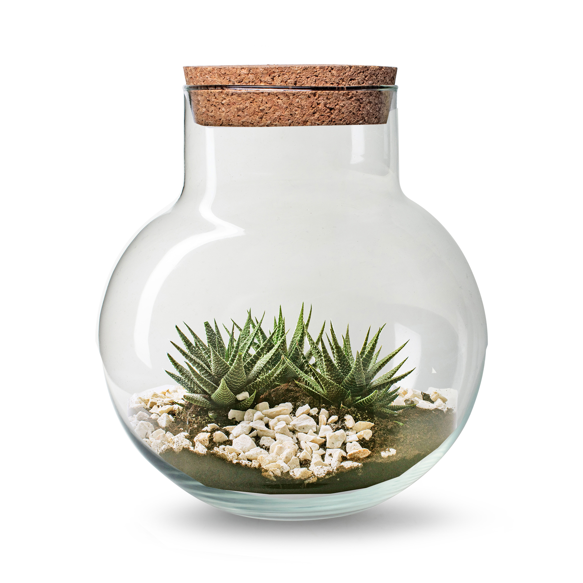 Pflanzterrarium "Levana" inkl. Erde, Kiesel und Aktivkohle mit Korken