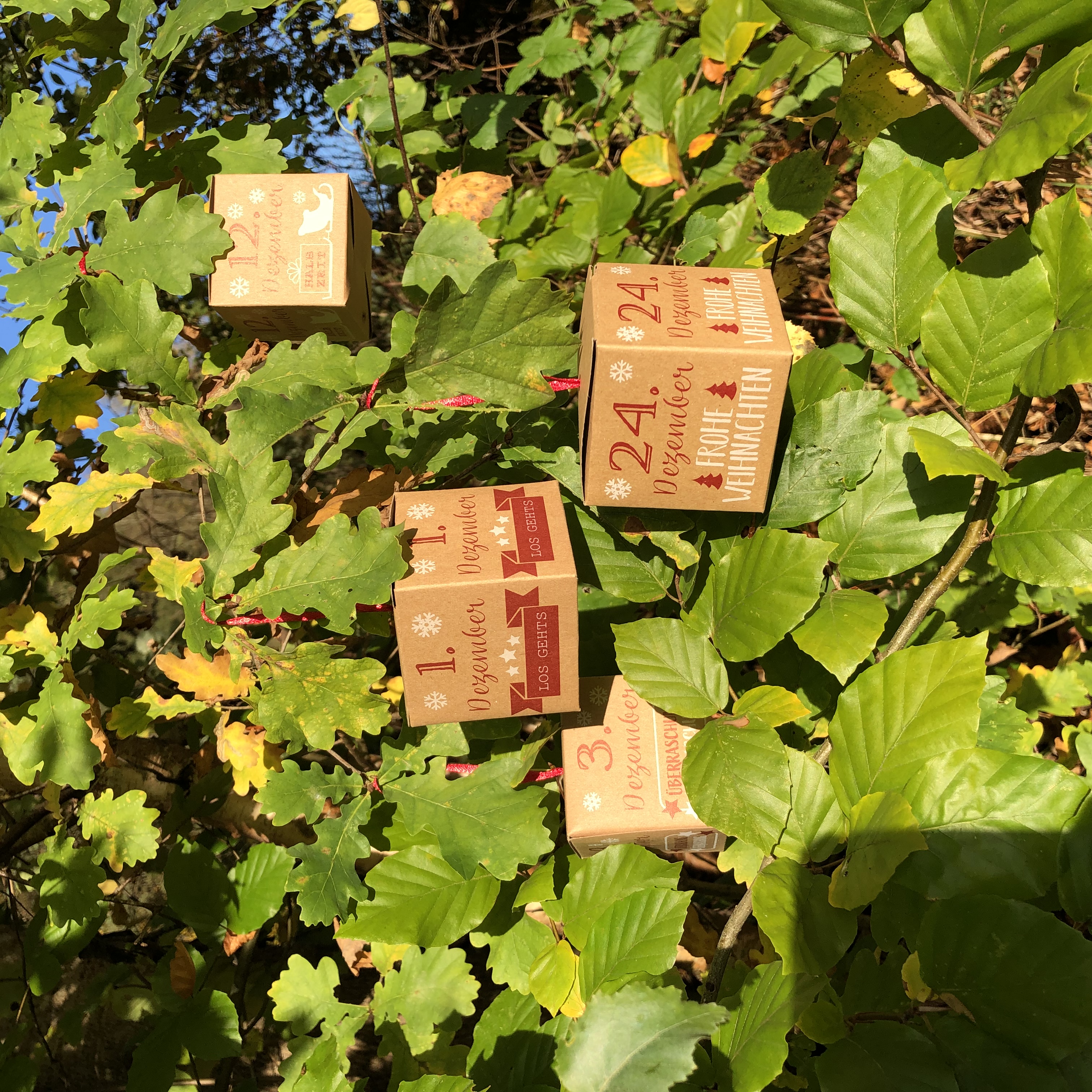 Adventskalender DIY Bastelset, Boxen 24-tlg.