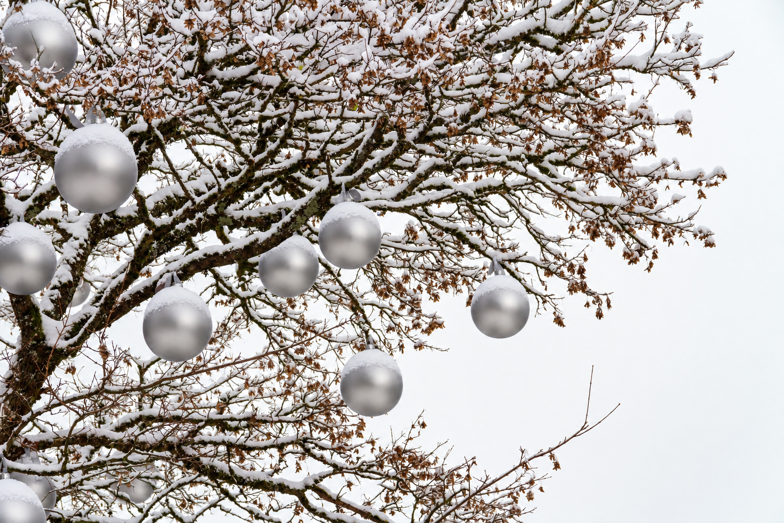 Weihnachtskugeln aus Kunststoff - Ø 8-18 cm - wetterfest