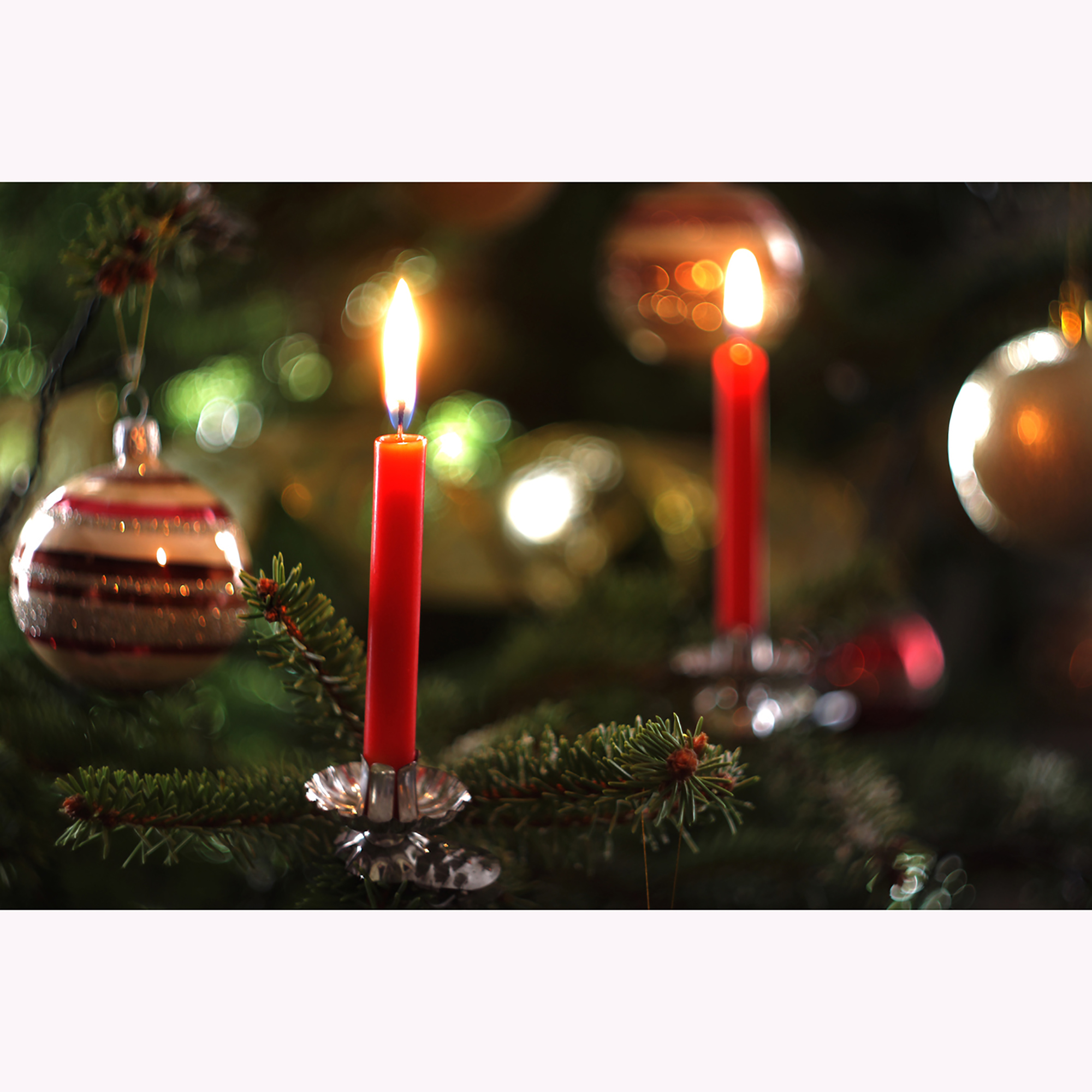 Baumkerzenhalter für Weihnachtbaum Ø 40 mm