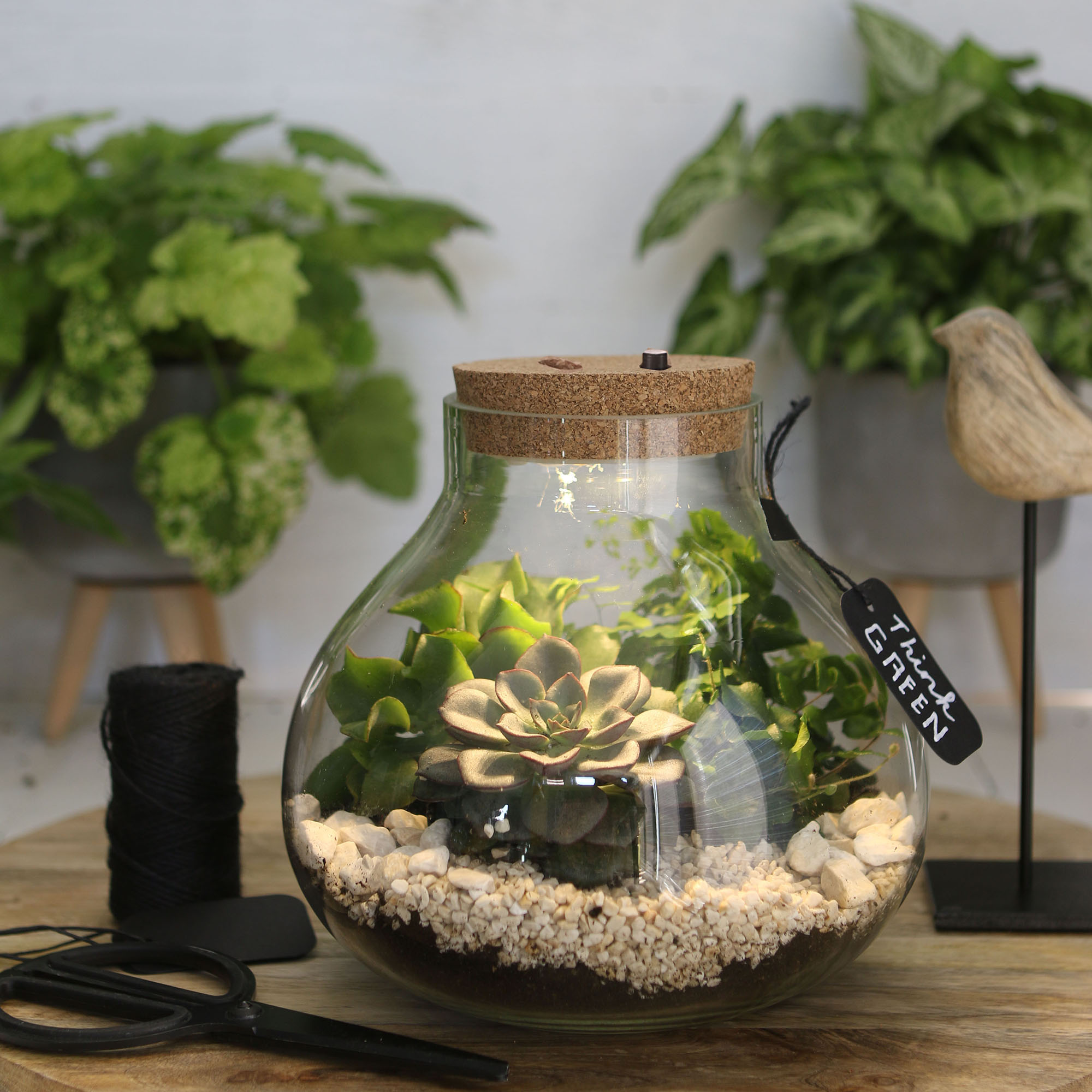 Pflanz-Terrarium mit Korken und LED-Beleuchtung