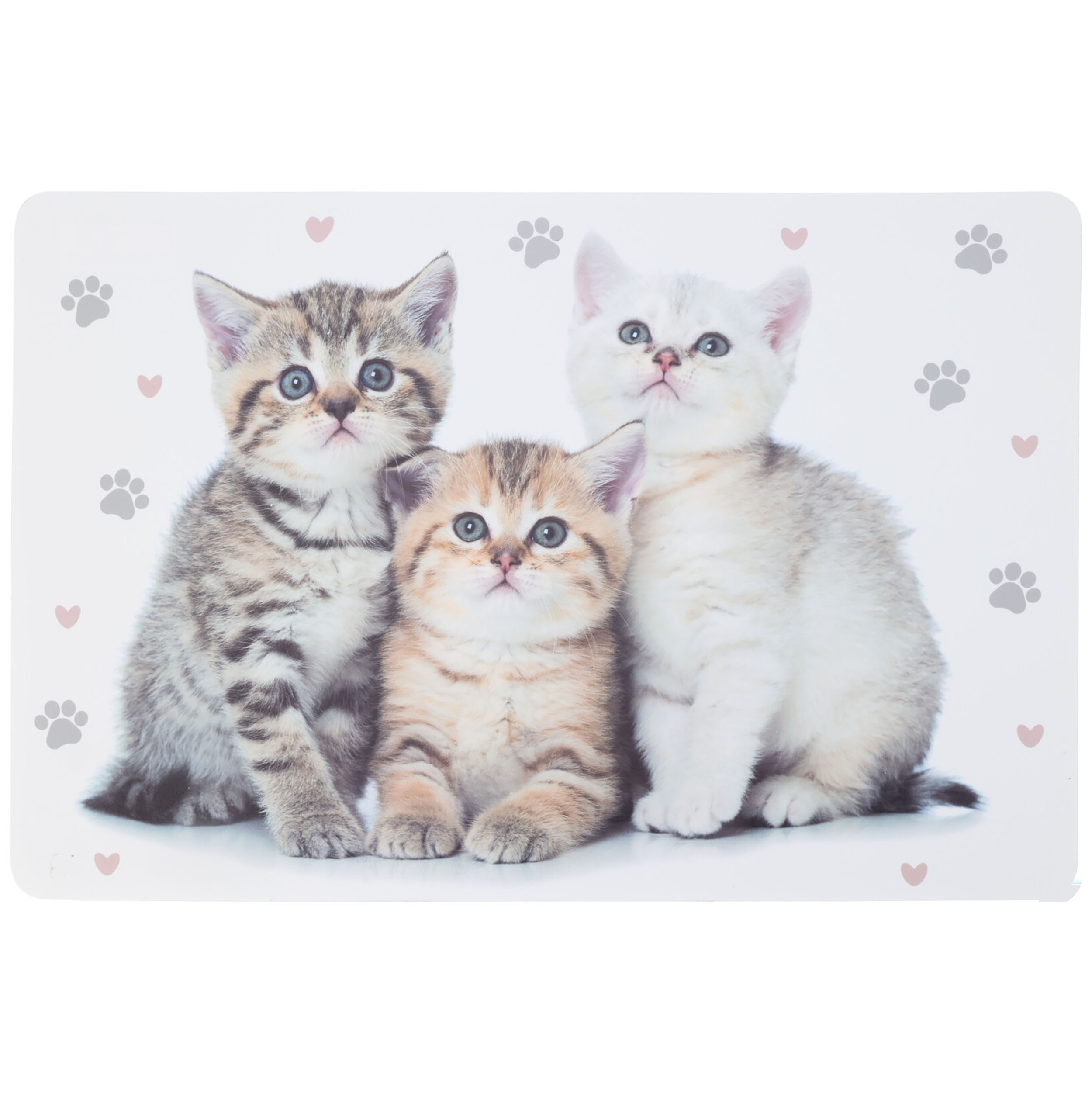 8-tlg. Set Platzset Tiere mit Hunden und Katzen - 43,5 x 28,5 cm