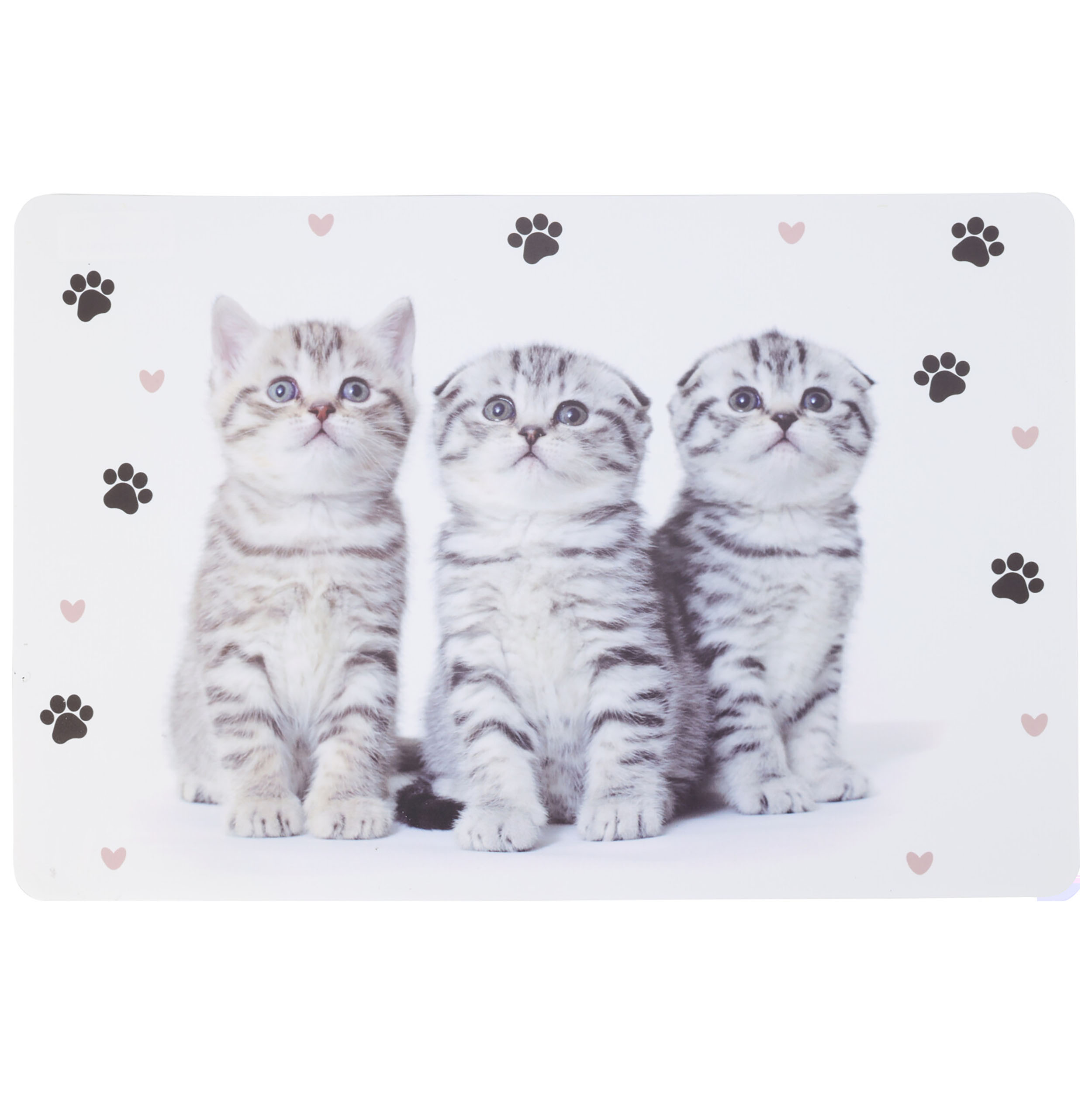 8-tlg. Set Platzset Tiere mit Hunden und Katzen - 43,5 x 28,5 cm
