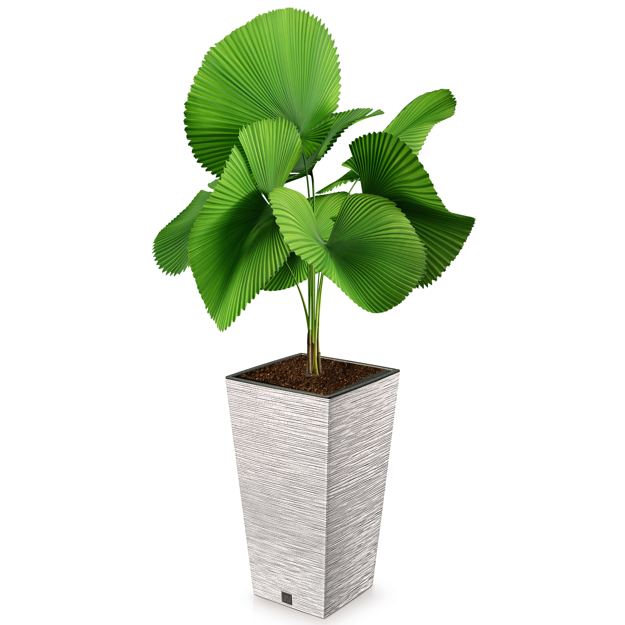 Pflanzsäule - Blumentopf FURU Slim - ECO Wood - mit natürlichem Holzanteil