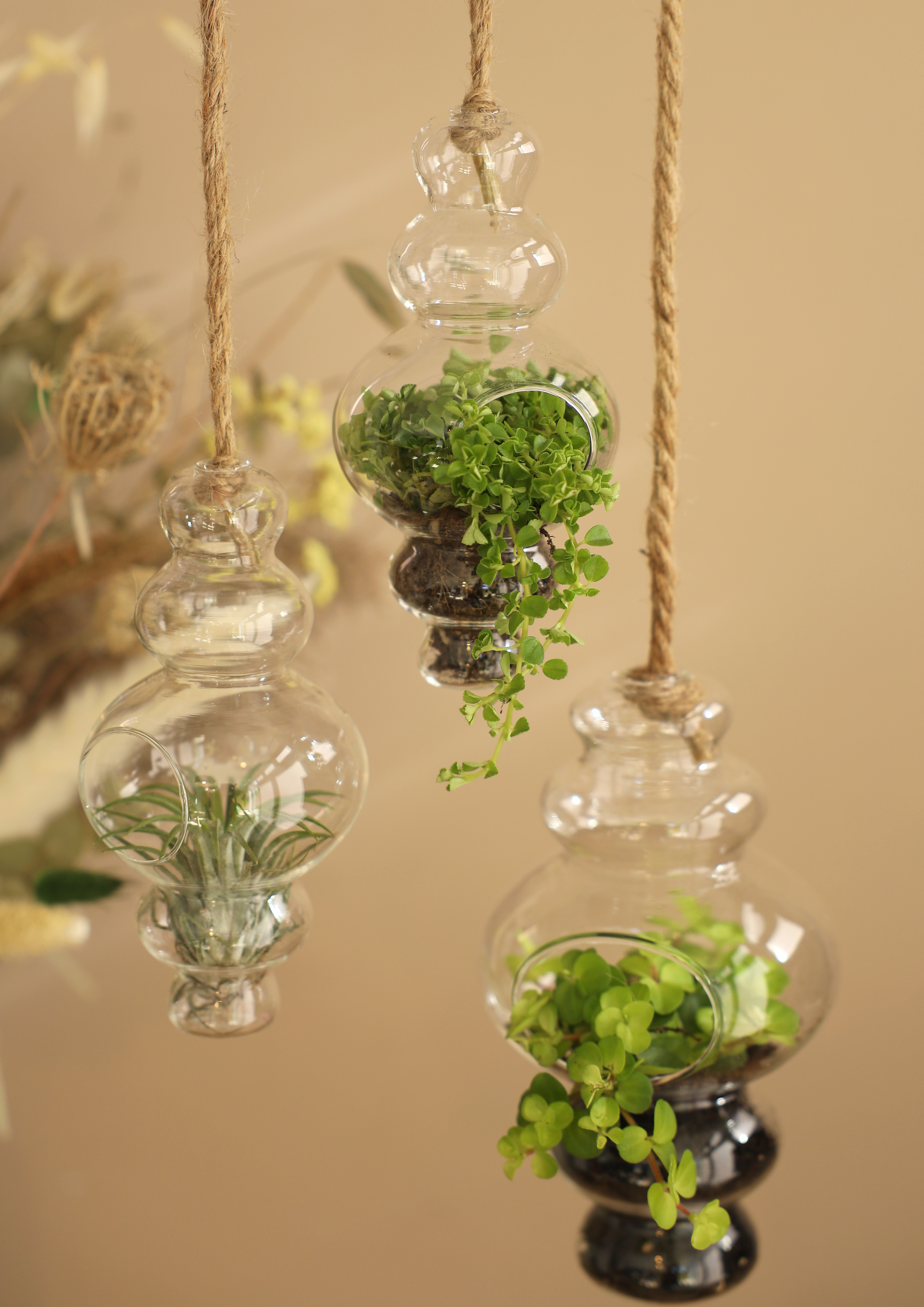 Vase - Terrarium "Alisa" mit Seil zum Hängen