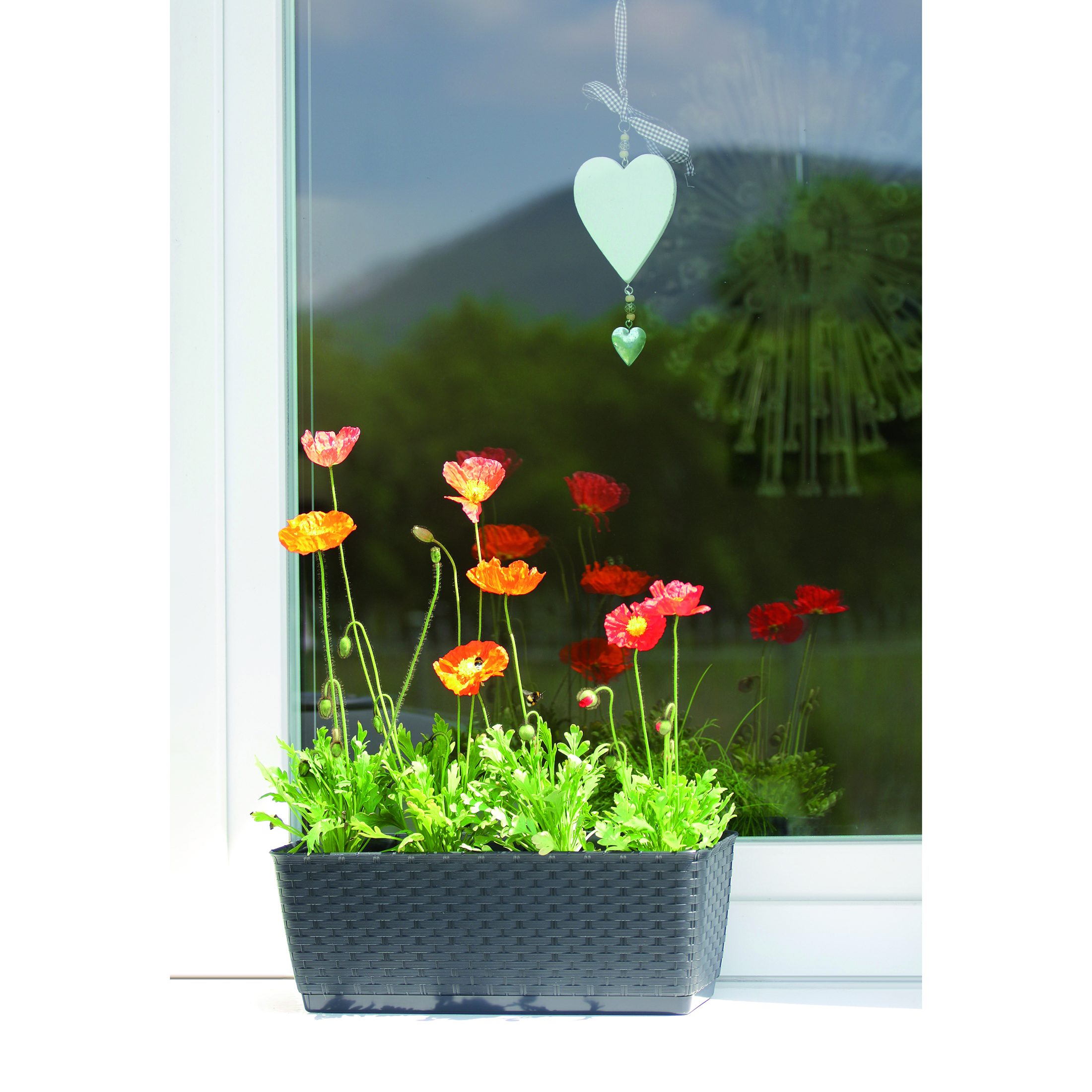 Balkonkasten - Blumenkasten aus Kunststoff - Ratolla P