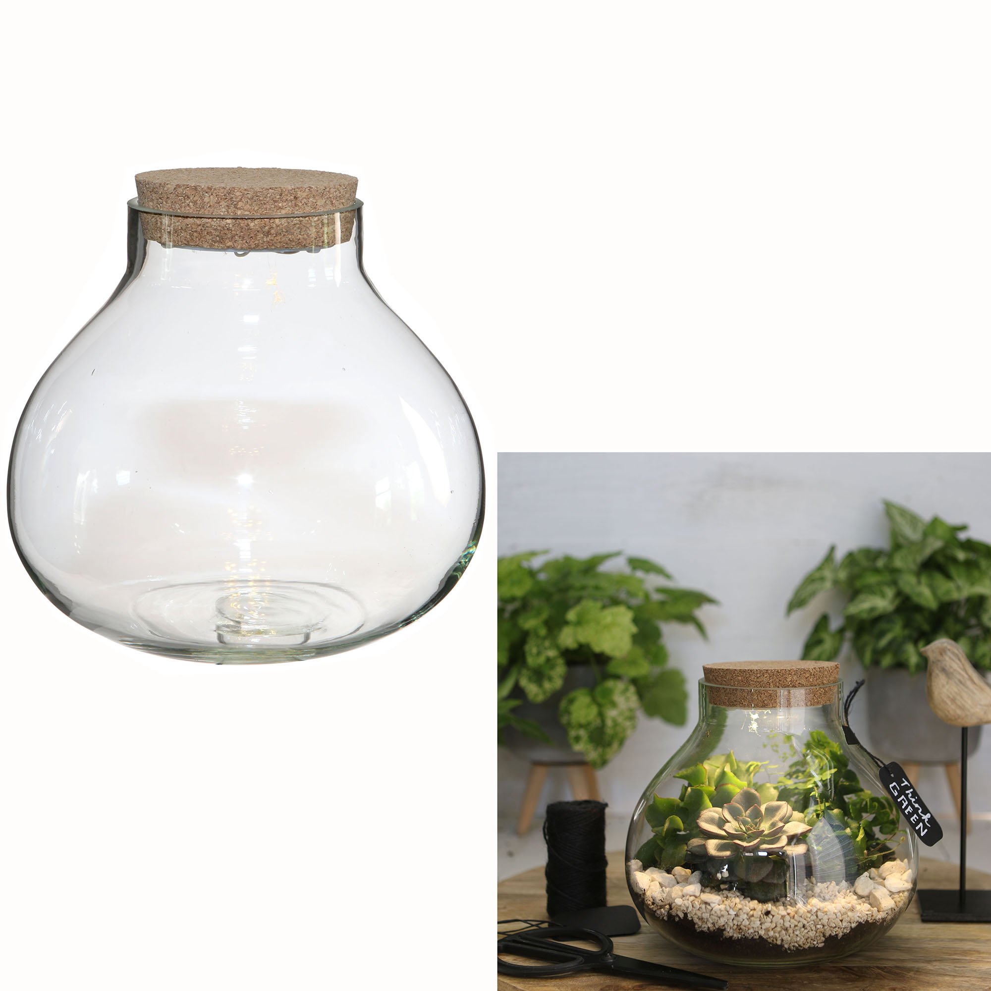 Pflanz-Terrarium mit Korken und LED-Beleuchtung