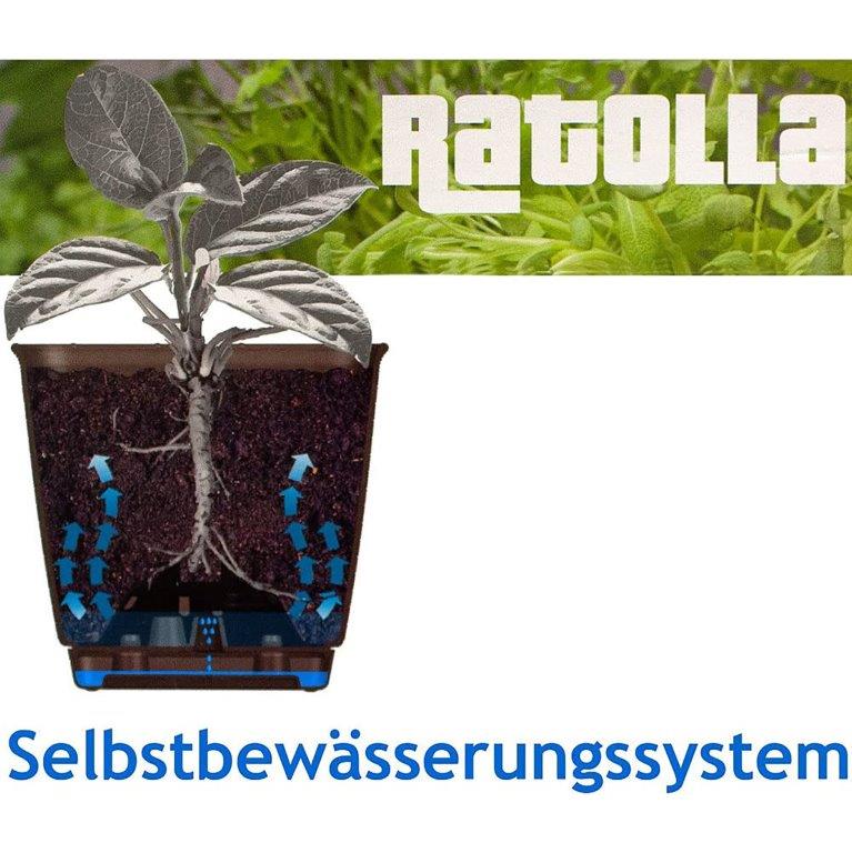 Balkonkasten - Blumenkasten Ratolla in verschiedenen Längen und Farben