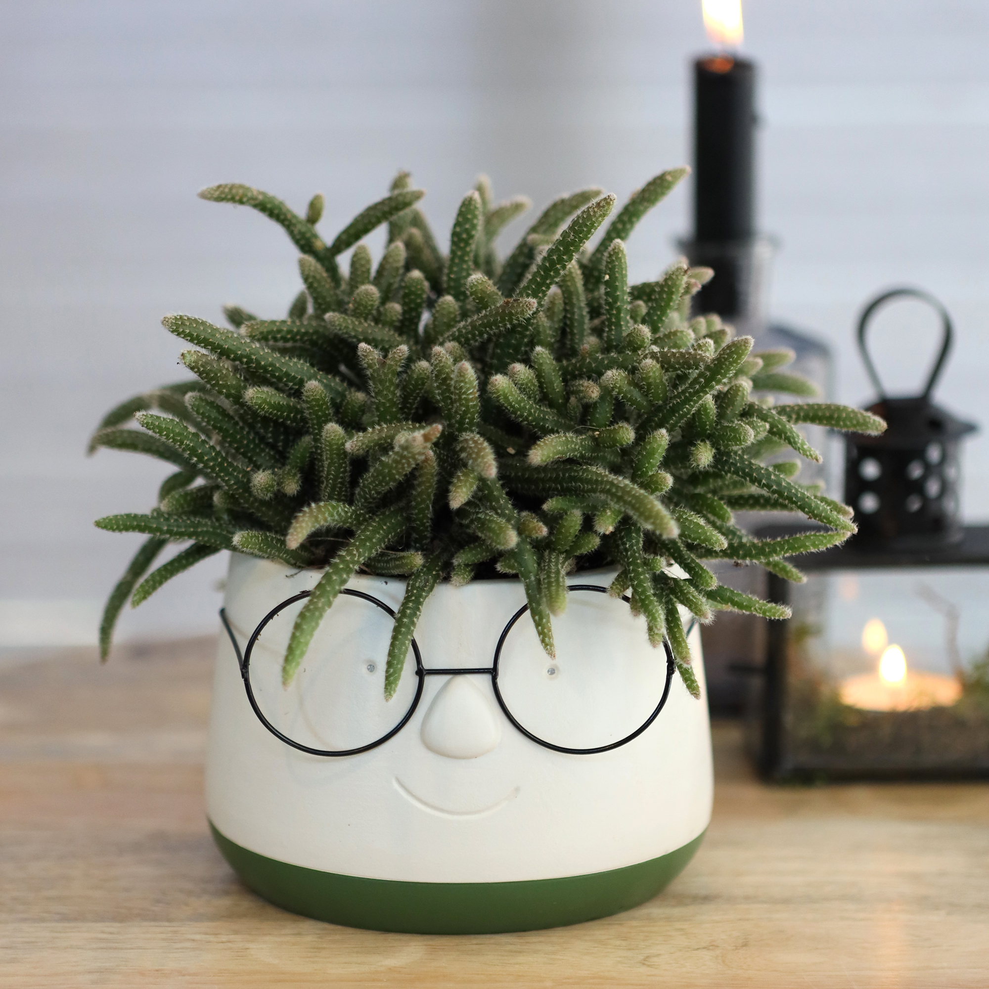 Blumenübertöpfe "Frieda" aus Keramik mit Brille