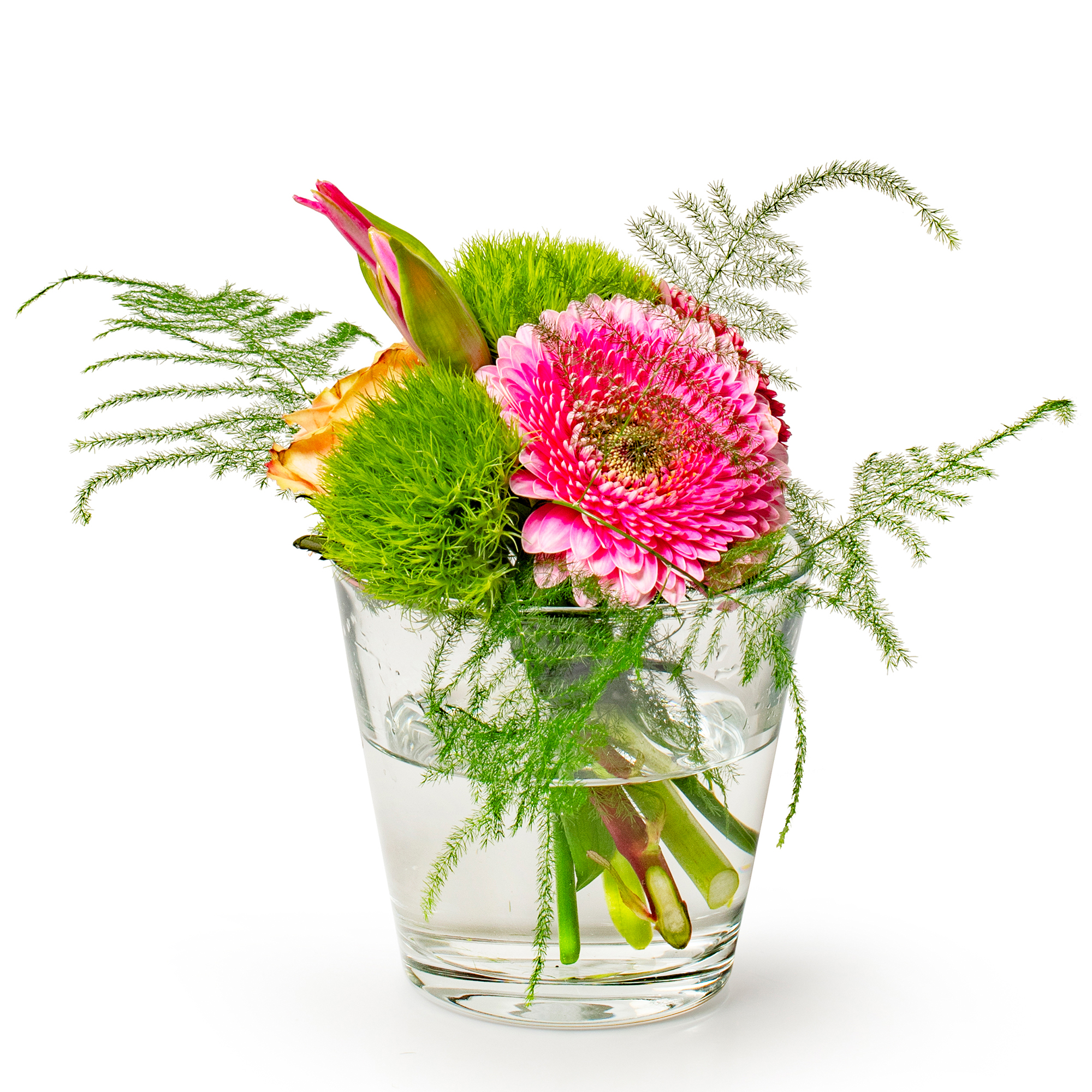 6 x Windlichter Lilly aus Glas, konisch Ø 10 cm H 9 cm