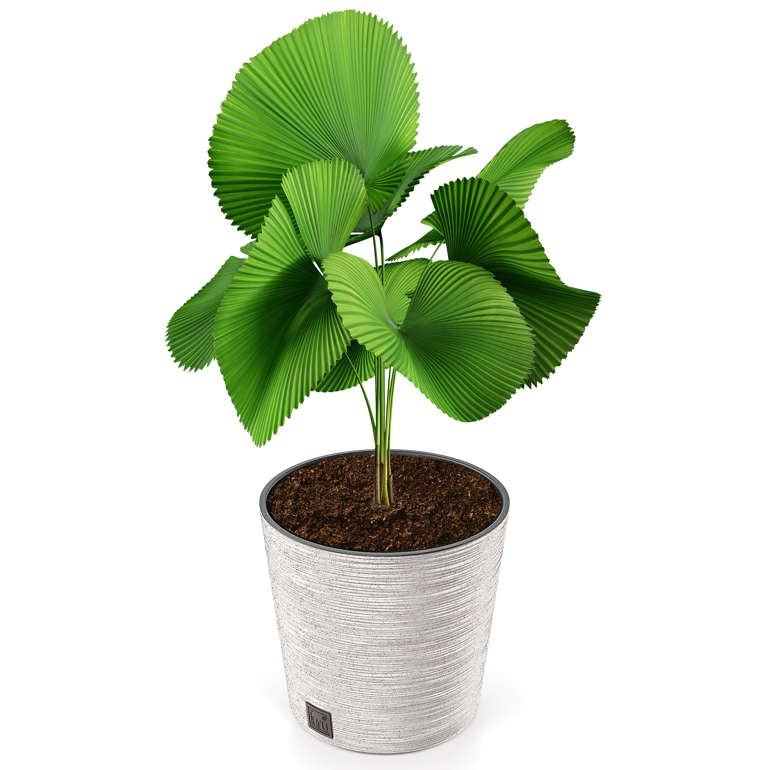 Blumentopf FURU Eco Wood mit 33% echtem Holzanteil