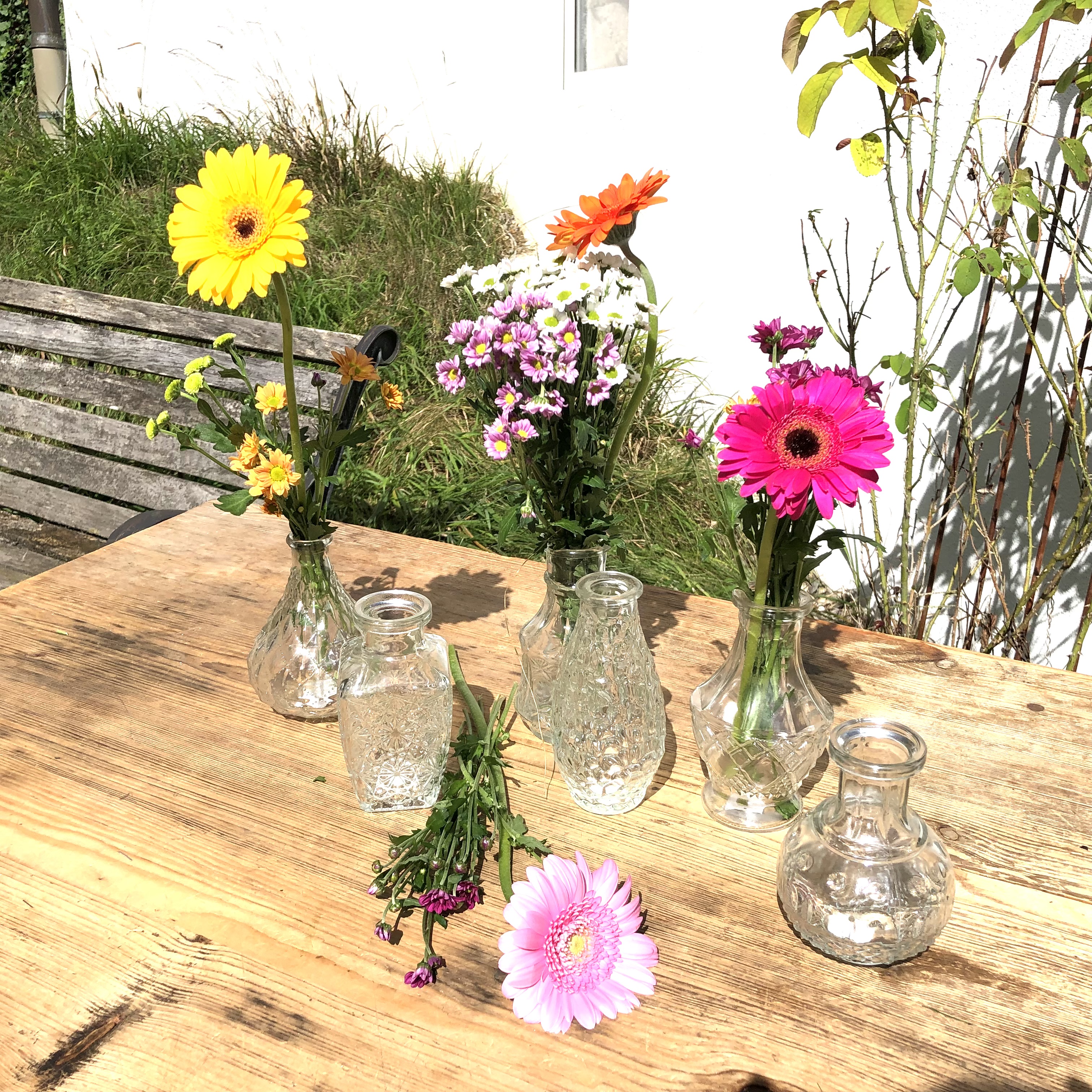 6-tlg. Set Vasen aus Glas im Vintage Look in verschiedenen Größen erhältlich