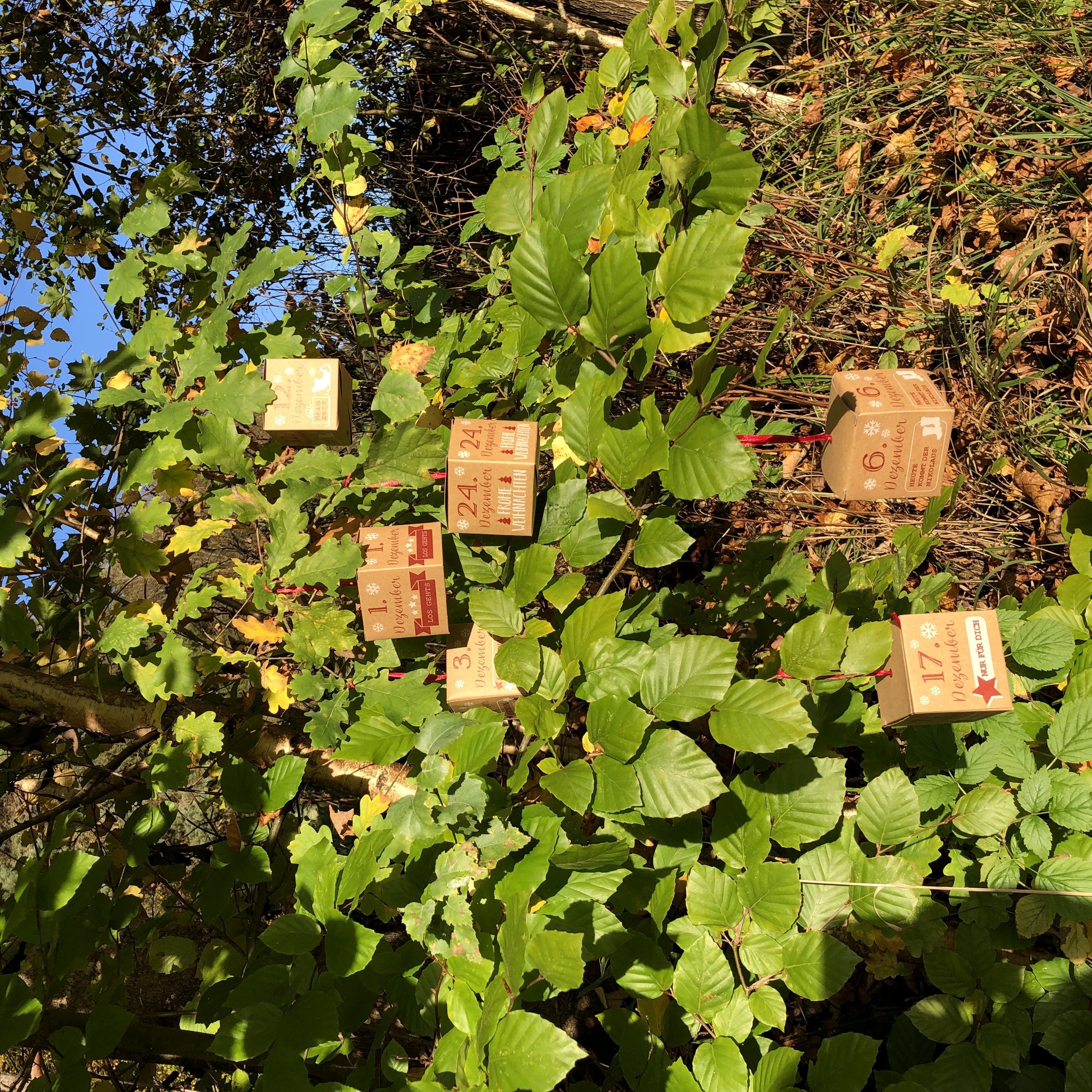 Adventskalender DIY Bastelset, Boxen 24-tlg.