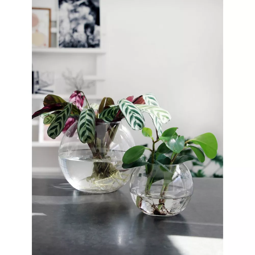 Vase - Windlicht - Terrarium "Alverda" in Kugelform Ø 19 cm