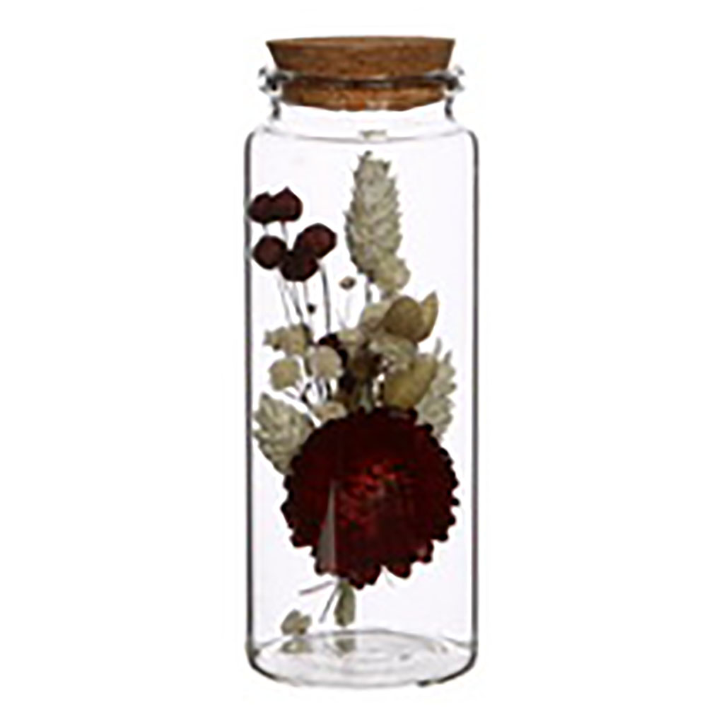 12 x Glasflaschen mit Deckel aus Kork H 7,5 oder 12,5 cm - Gewürzgläser - Vasen