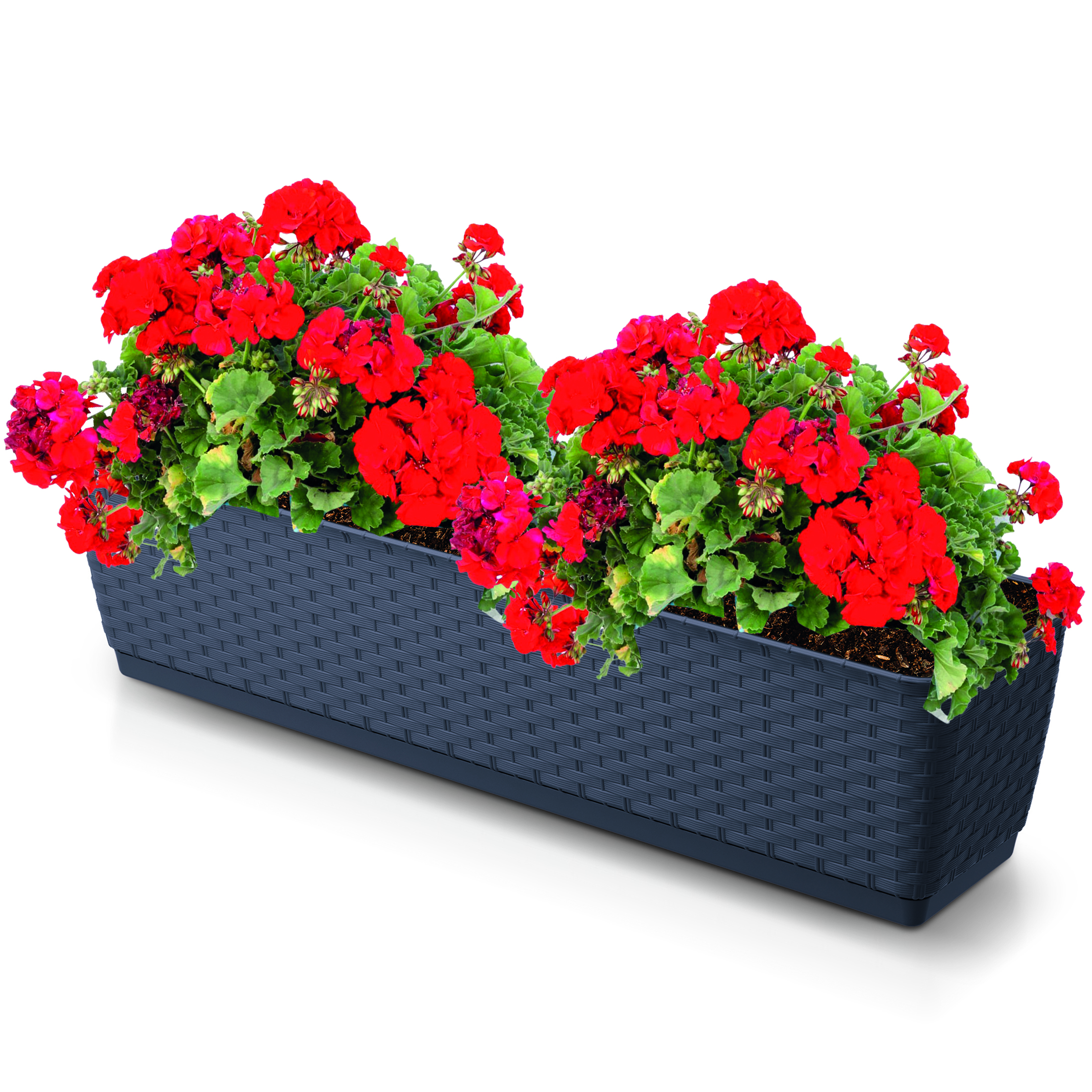 Balkonkasten - Blumenkasten Ratolla aus Kunststoff