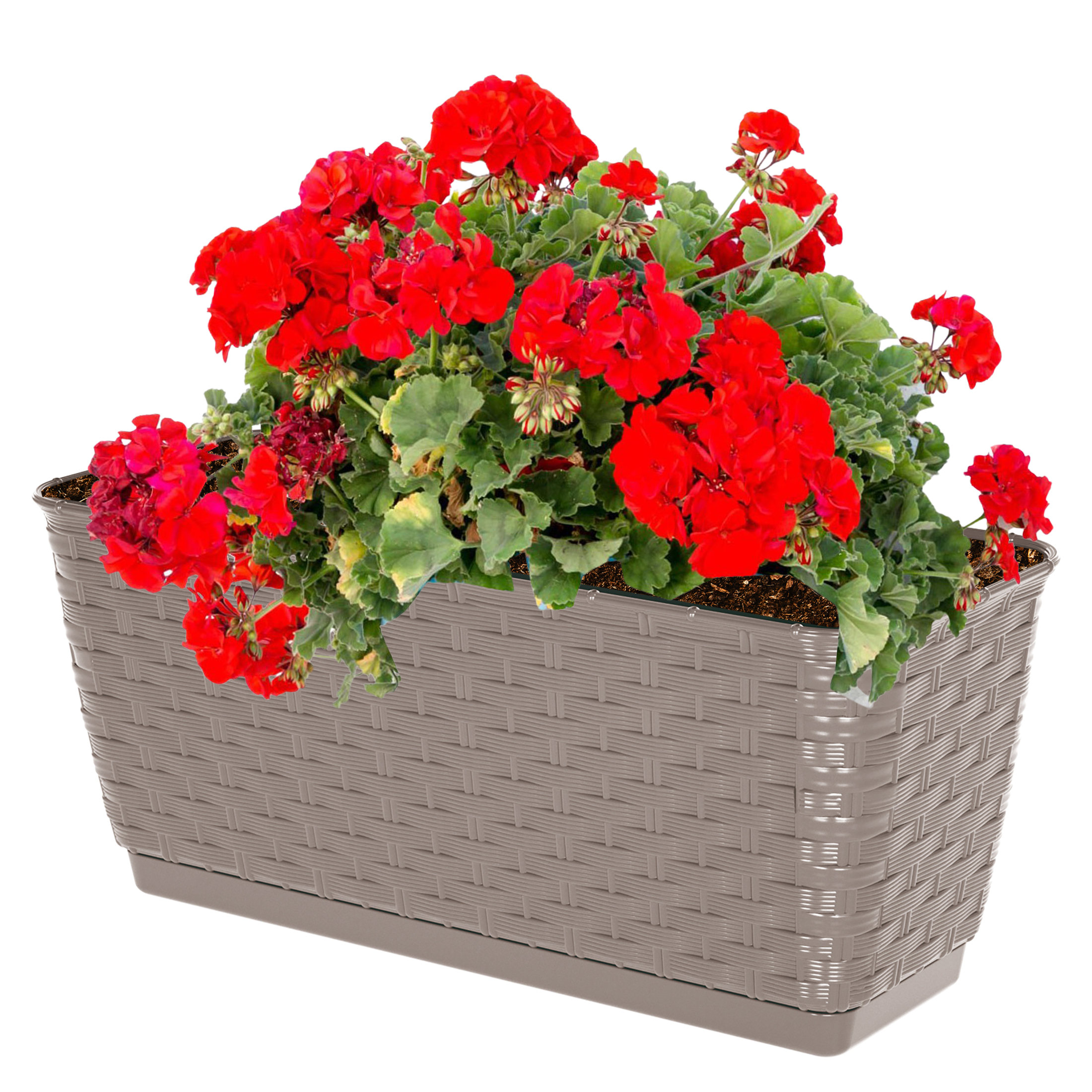 Balkonkasten - Blumenkasten aus Kunststoff - Ratolla P
