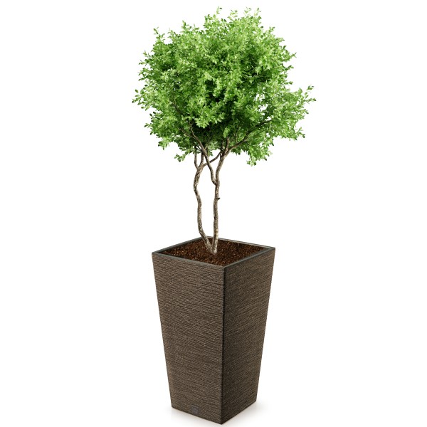 Pflanzsäule - Blumentopf FURU Slim - ECO Wood - mit natürlichem Holzanteil