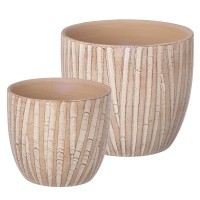 Terracotta - Baumoptik