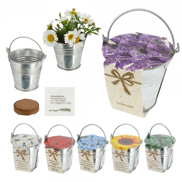 Mini Zinkeimer mit 6 Blumensamen als Anzuchset für Ihren Blumengarten