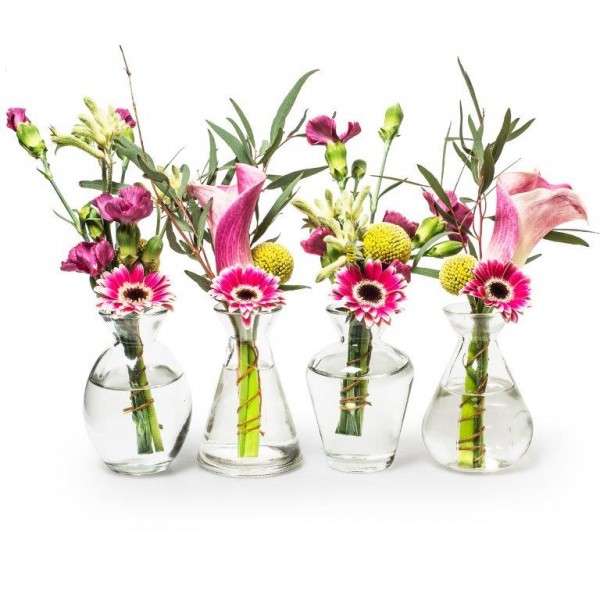 12 x Vasen "Frida" in vielen Farben und Formen