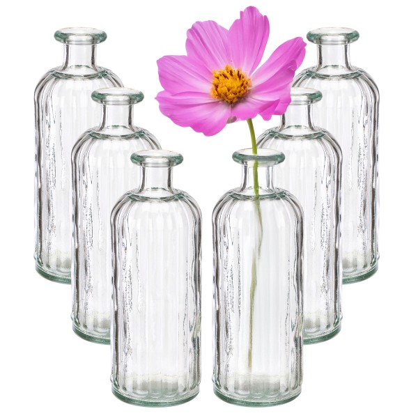 6er Set Vintage-Glasvasen H 28 cm