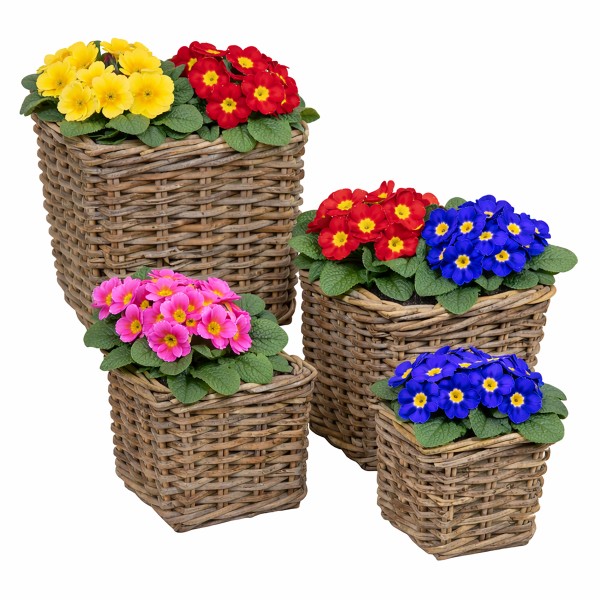 4-tlg. Set Pflanzkörbe "Amelie" aus Weide in quadratischer Form mit Folie