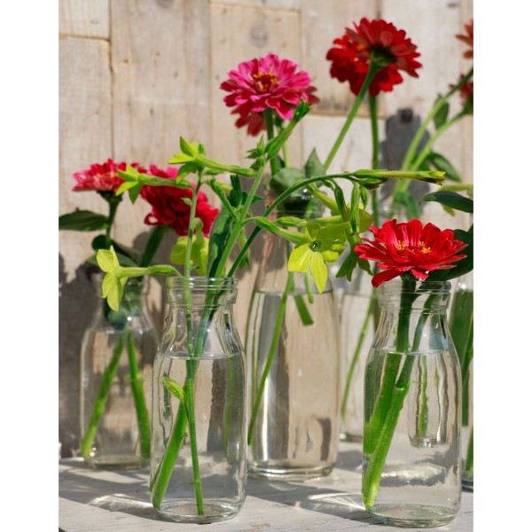 Glasflaschen im Landhausstil als hübsche Blumenvasen