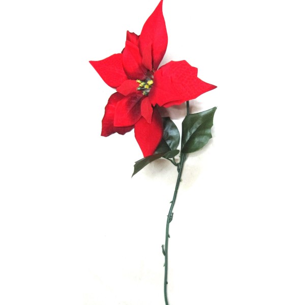 6 x Blumen Weihnachtsstern klassisch in rot, L 60 cm - Ø 23 cm