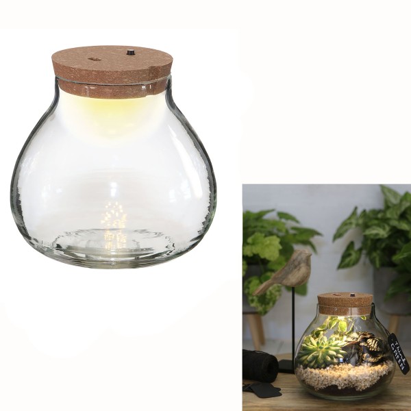 Pflanz-Terrarium mit Korken und LED-Beleuchtung